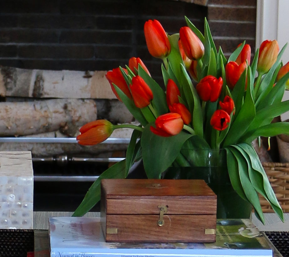 orange-tulips-nl