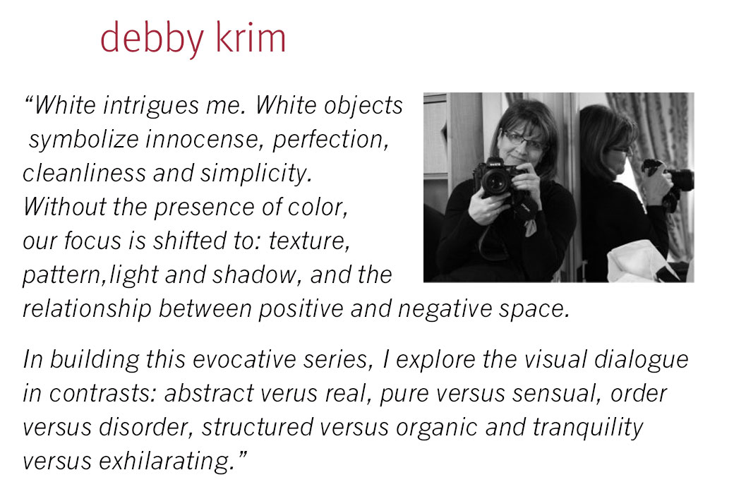 artist-spotlight-image-with-quote-DEBBY-KRIM